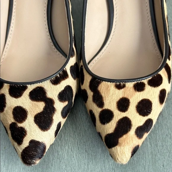 Tory Burch Leopard Print Kitten Heels | Size 6 | Designer Pumps - Picture 5 of 9